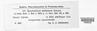 Synchytrium globosum image